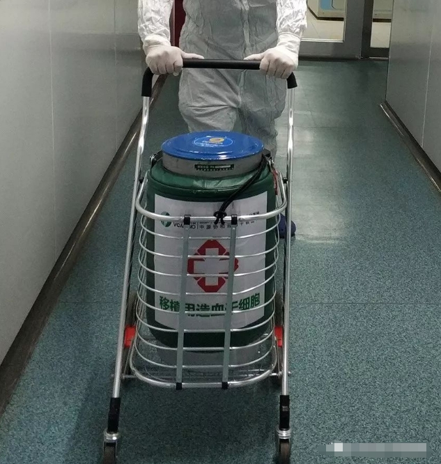 使用東亞系列液氮罐轉運中